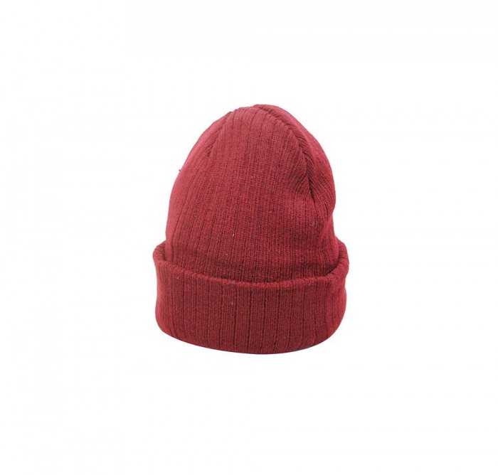 Carlot Winter Beanie (Unisex)