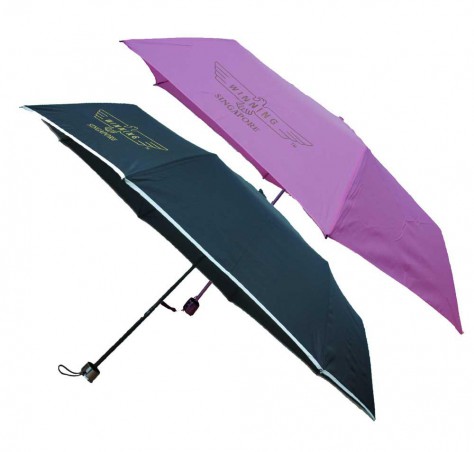 Lightweight Foldable Mini Umbrella